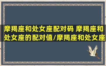 摩羯座和处女座配对码 摩羯座和处女座的配对值/摩羯座和处女座配对码 摩羯座和处女座的配对值-我的网站